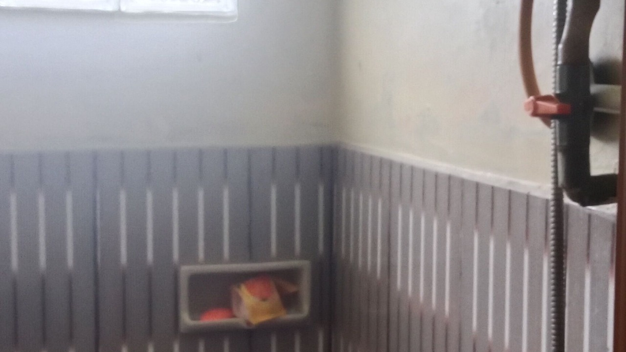 Photo of Bathroom in Dieng Kulon