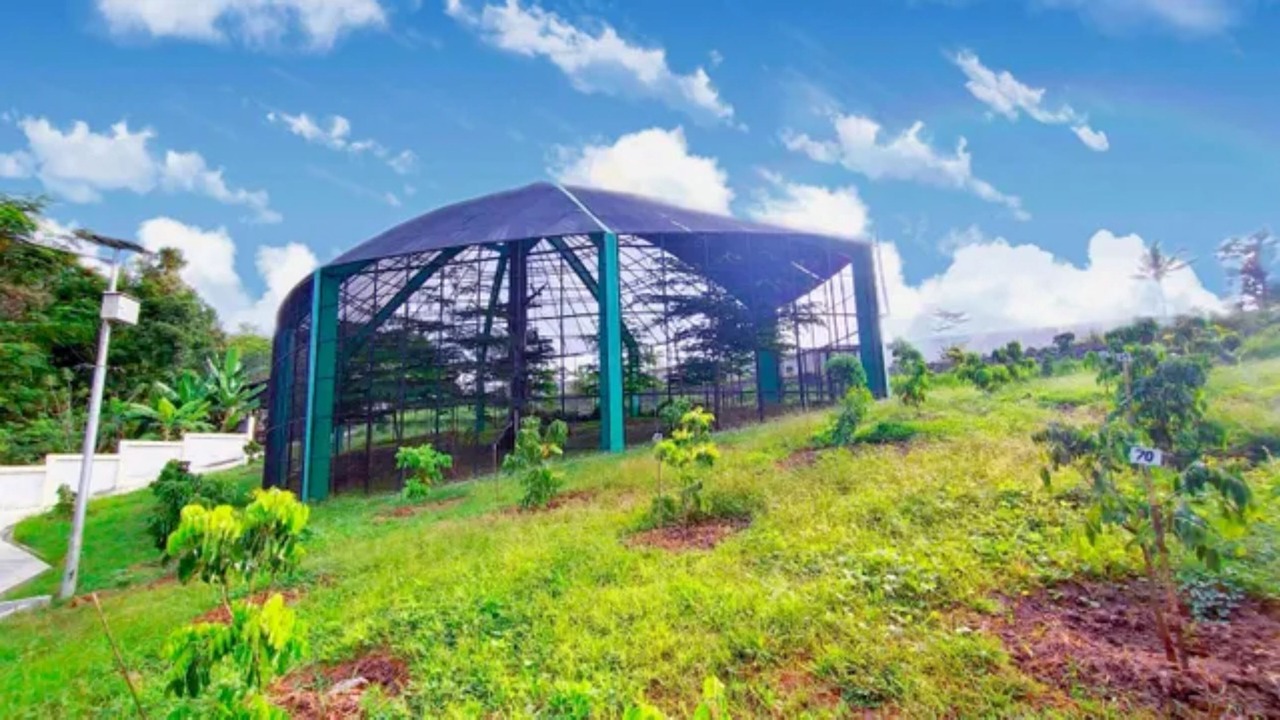 Photo of Outdoor in Magelang