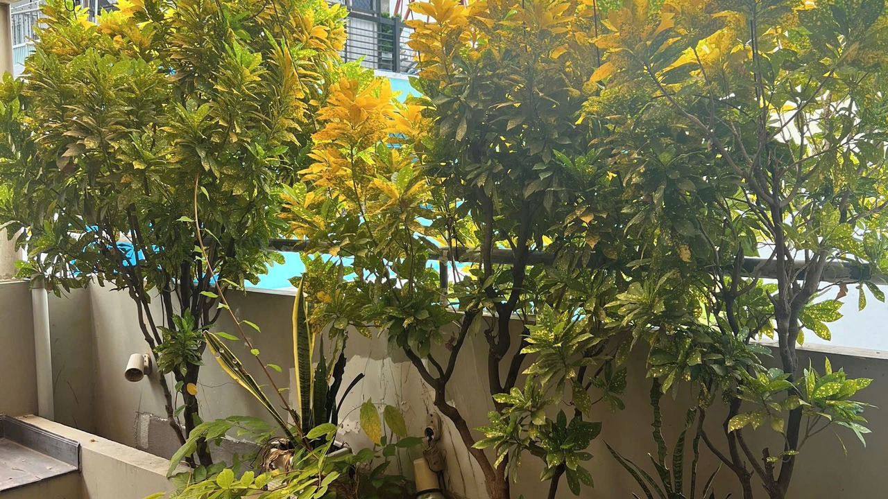 Photo of Outdoor in Ben Thanh