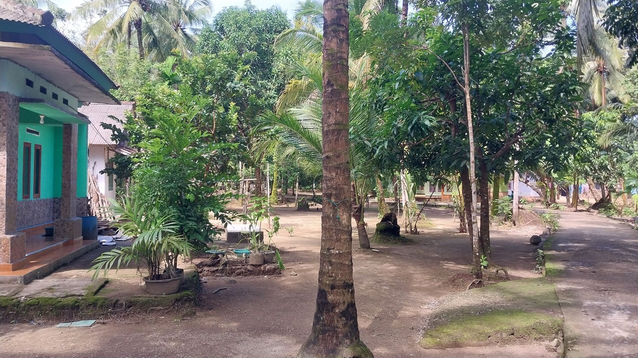 Photo of Outdoor in Java