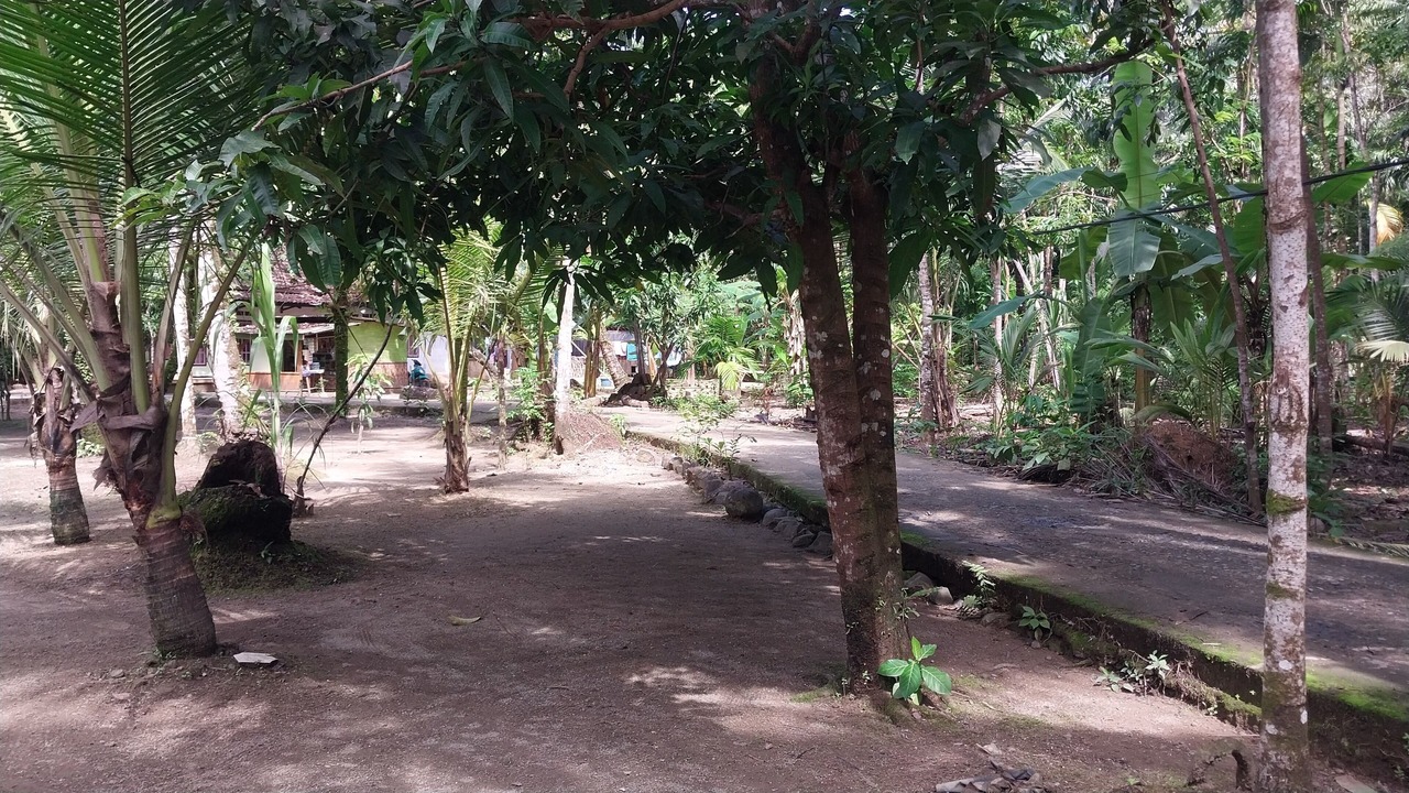 Photo of Outdoor in Java