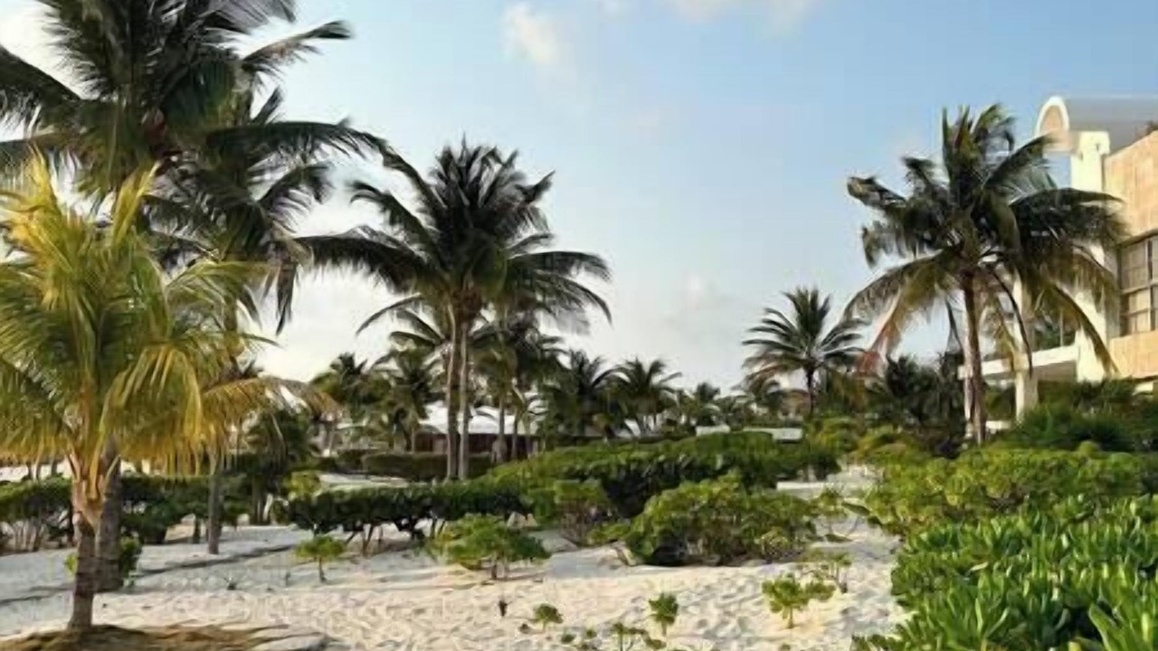 Photo of Others in Playa Mujeres