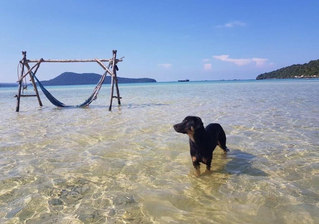 Photo of Others in Koh Rong Sanloem