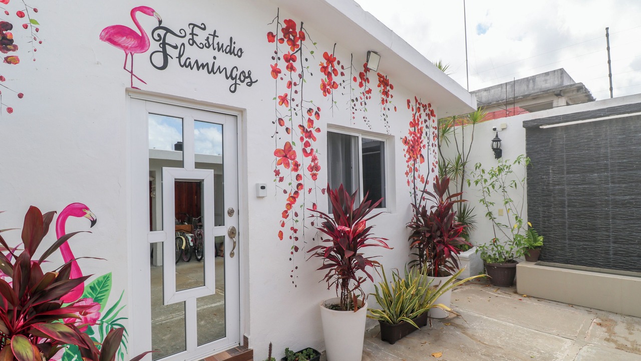 Photo of Outdoor in Colonia Repobladores