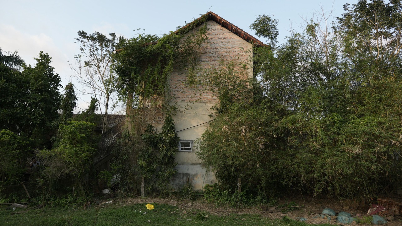 Photo of Others in Huong Thuy