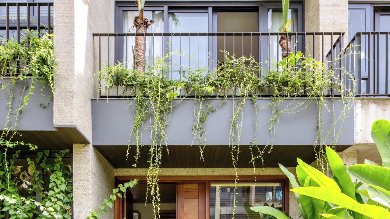 Photo of Outdoor in Cam Chau