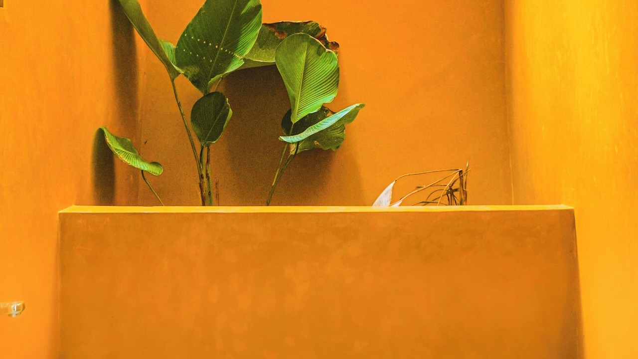 Photo of Others in Kalpetta