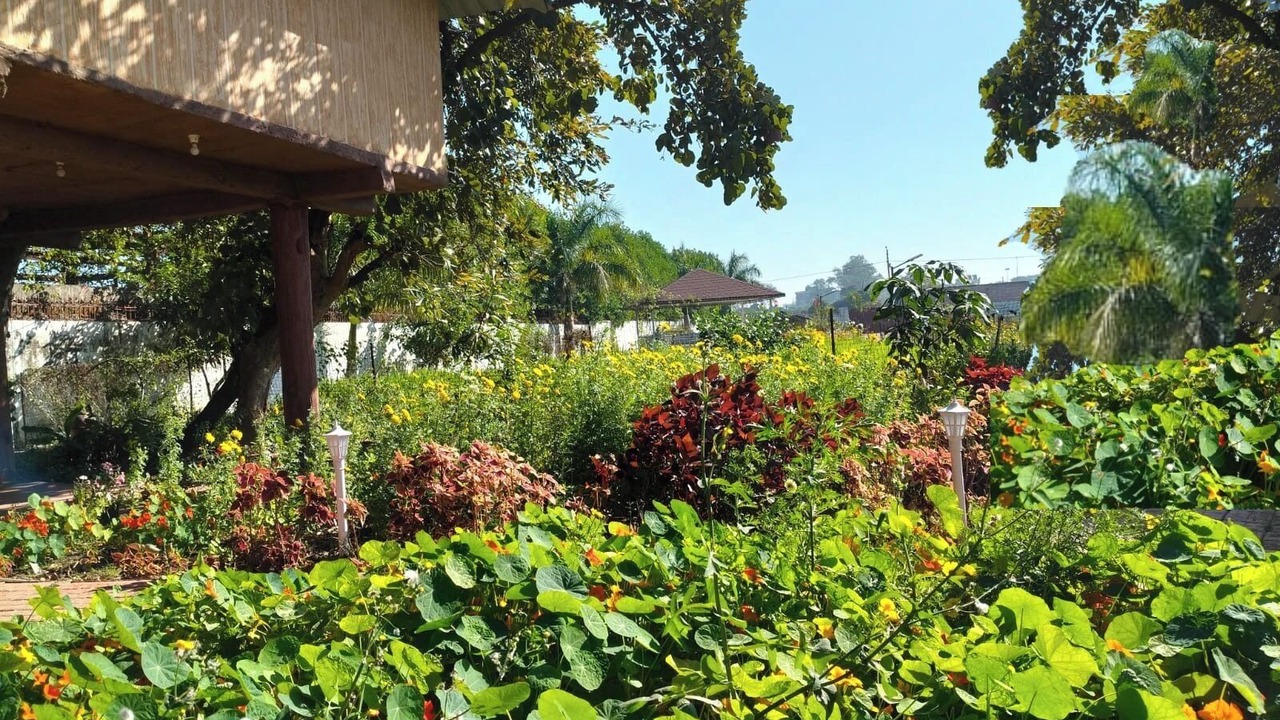 Photo of Outdoor in Bhopal