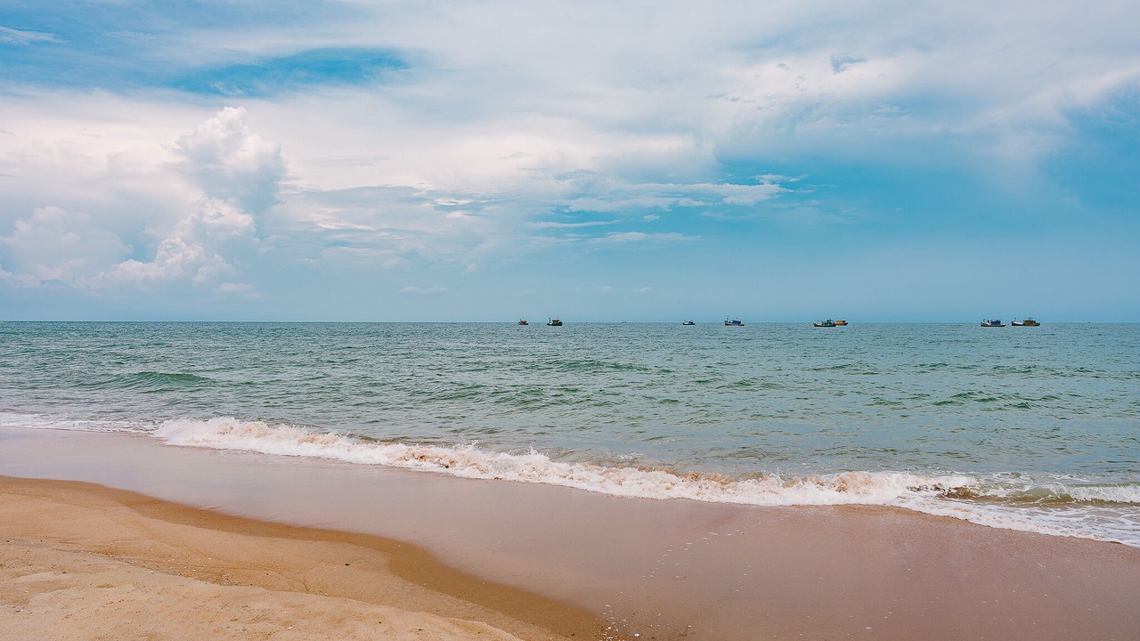 Photo of Others in Phuoc Thuan