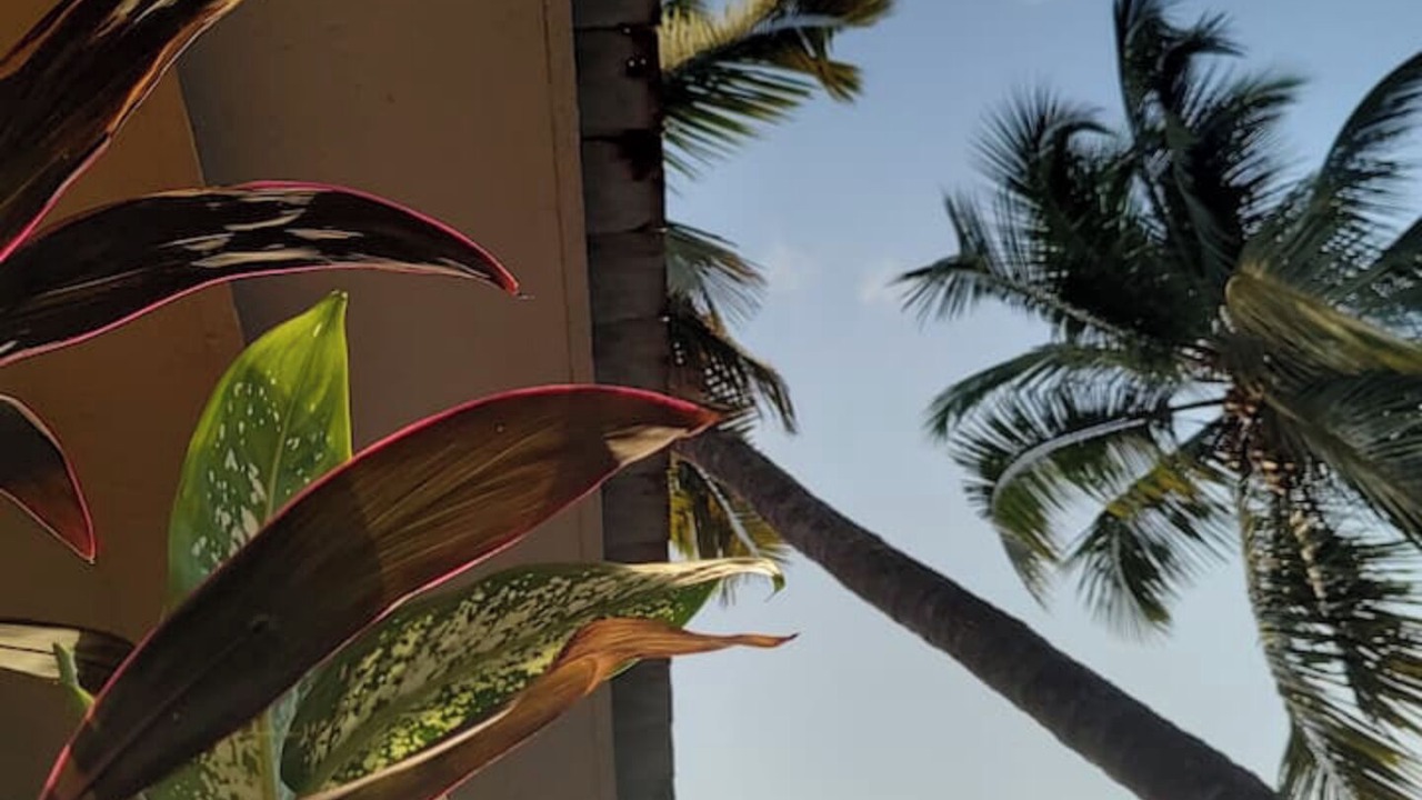 Photo of Outdoor in Kudal