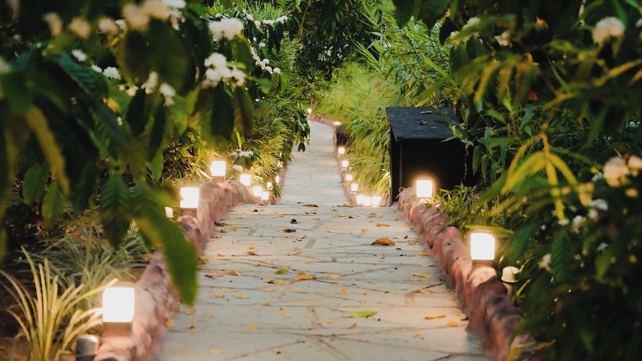 Photo of Outdoor in Kottappadi part