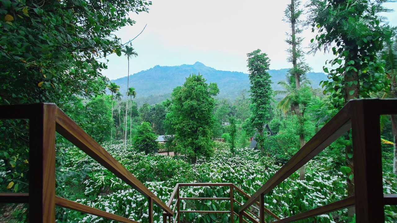 Photo of Outdoor in Kottappadi part