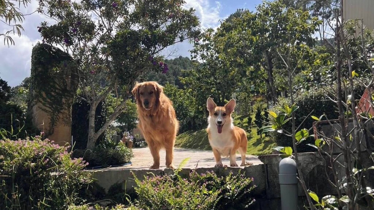 Photo of Outdoor in Da Lat