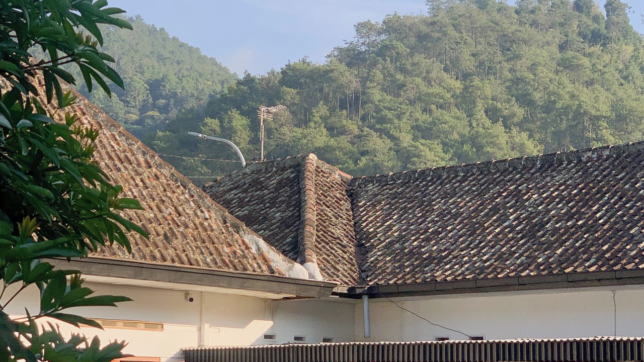 Photo of Outdoor in Sidomulyo