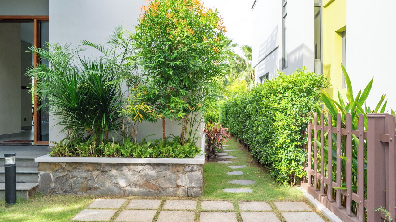 Photo of Outdoor in Xuyen Moc