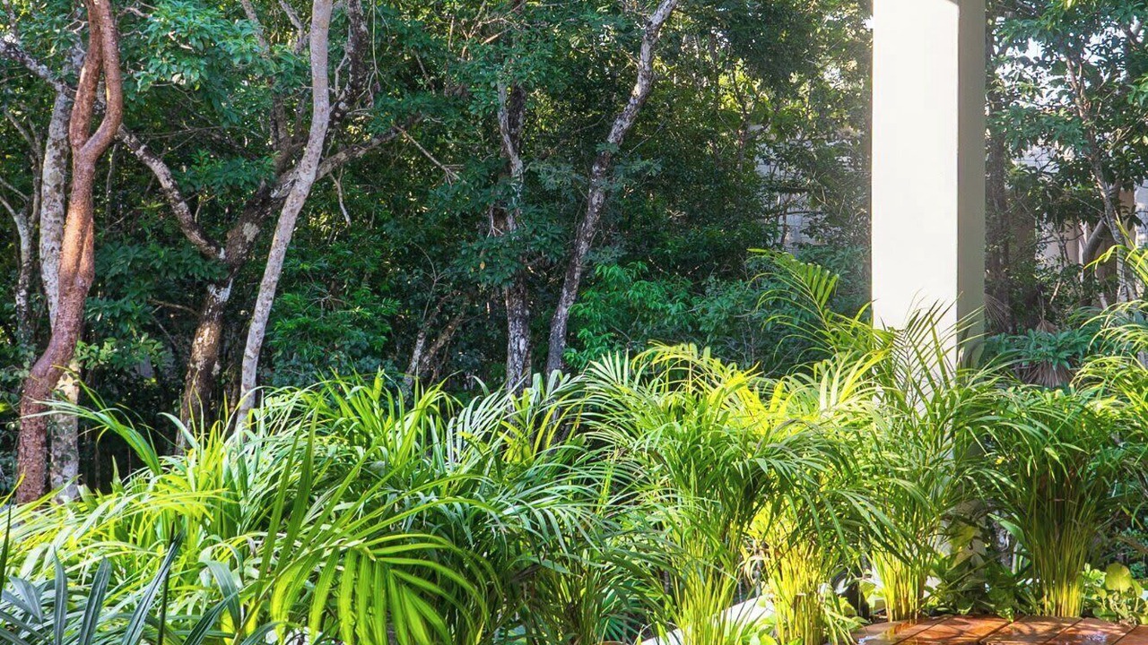 Photo of Others in Tulum