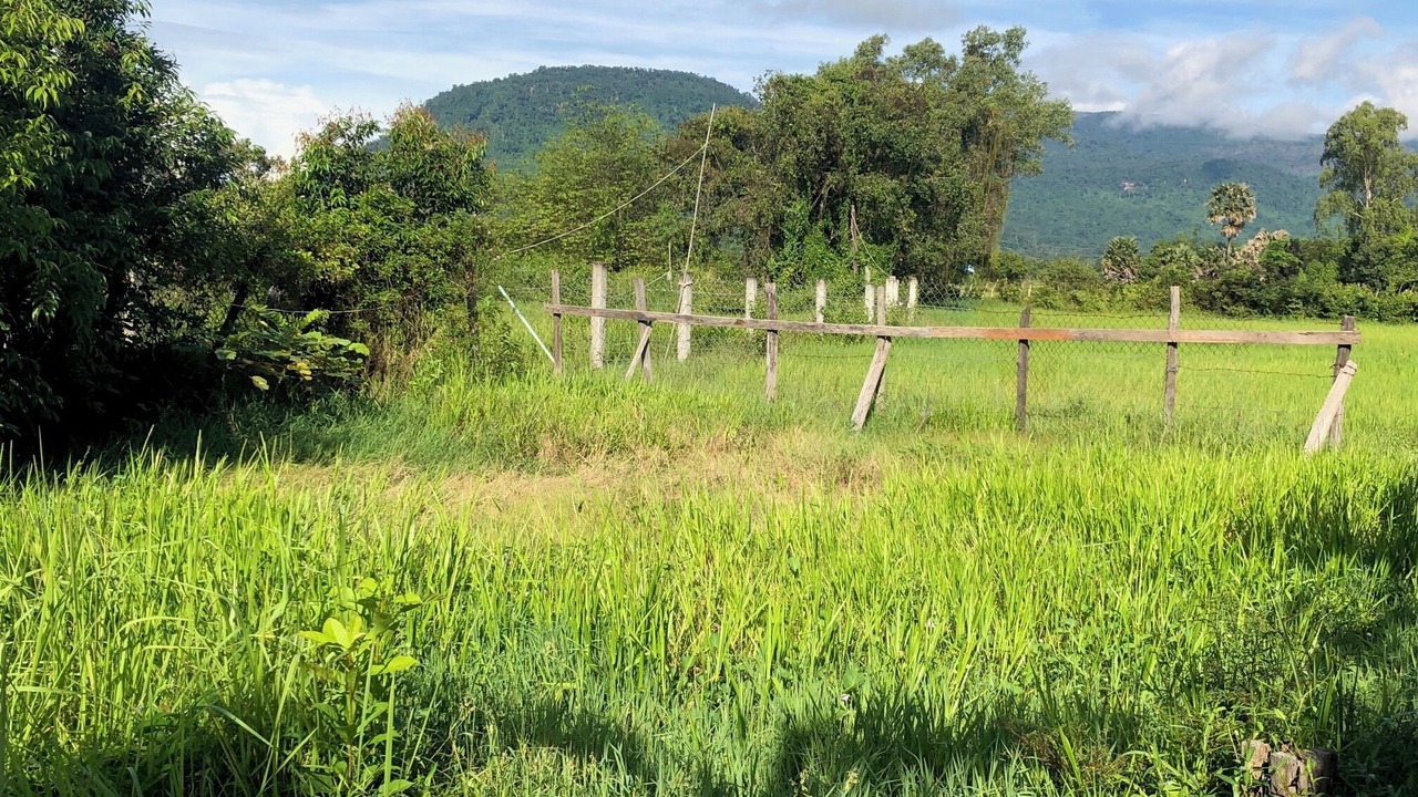 Photo of Others in Kampot