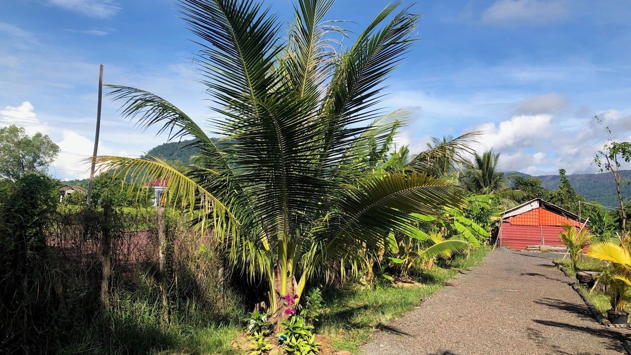 Photo of Outdoor in Kampot