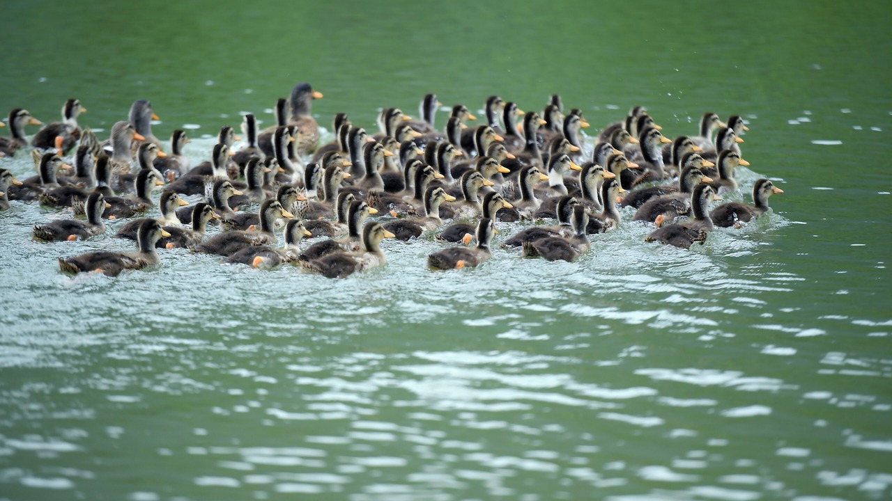 Photo of Others in Pu Long Nature Reserve