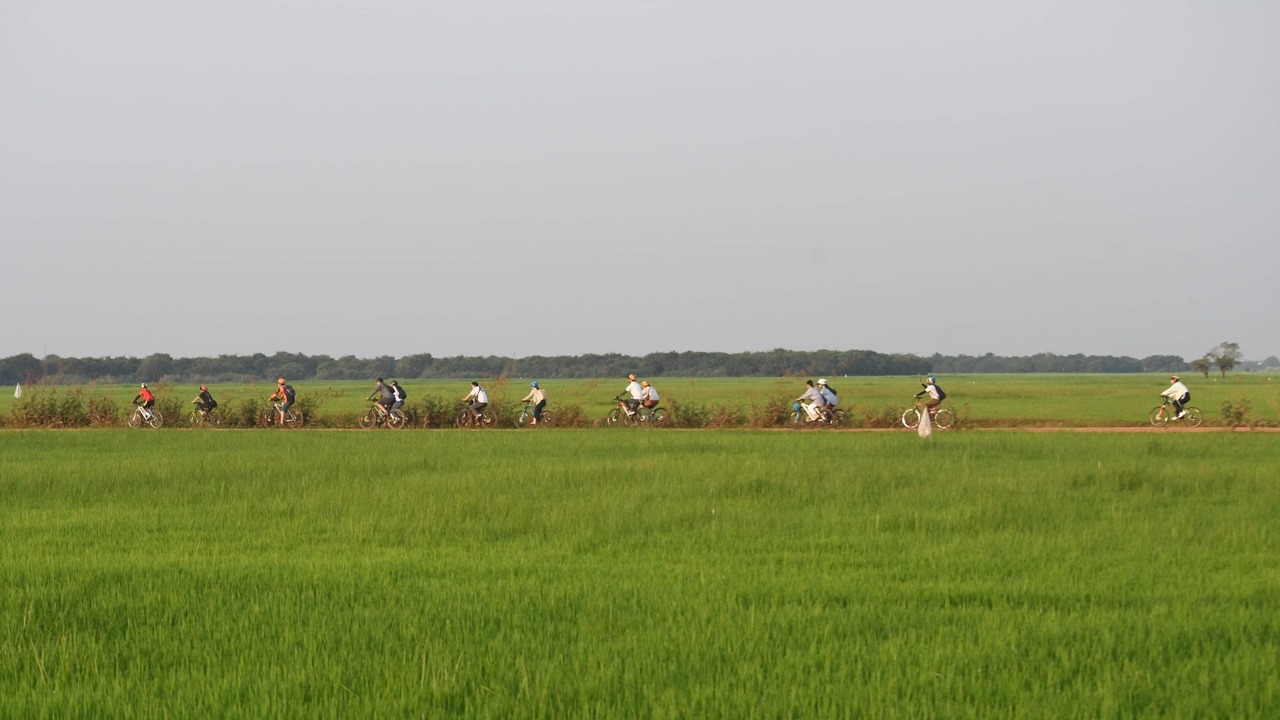 Photo of Others in Downtown Siem Reap