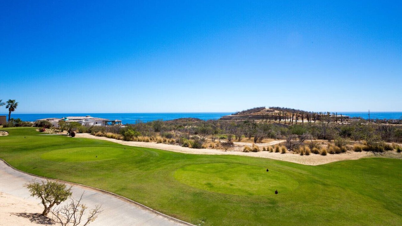 Photo of Others in Buzzards