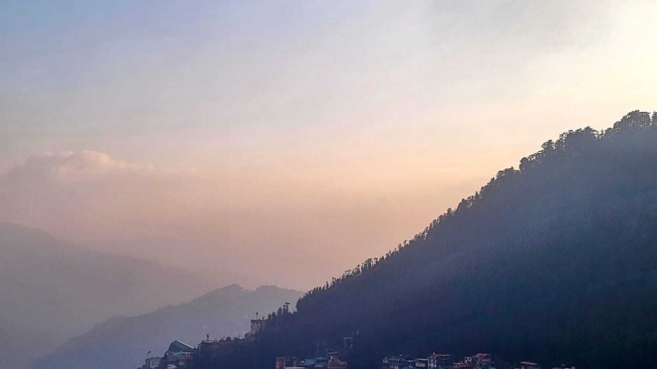 Photo of Others in Shimla