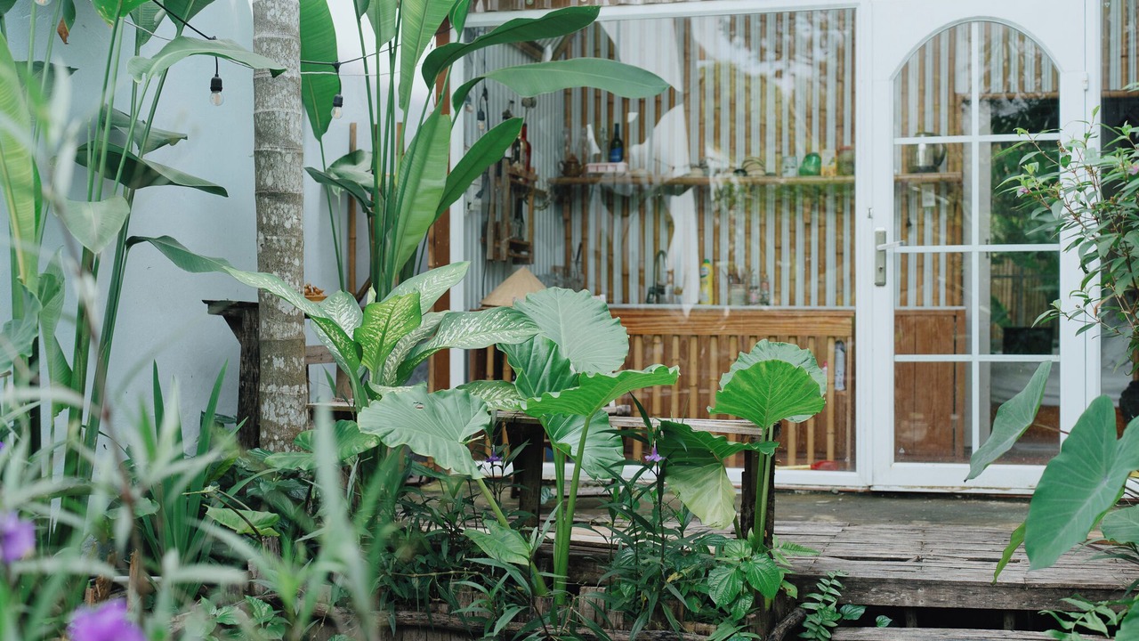 Photo of Outdoor in Ninh Kieu
