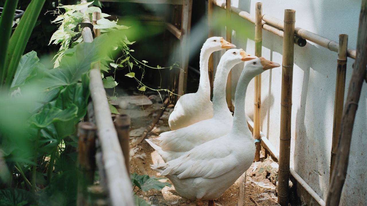 Photo of Others in Ninh Kieu