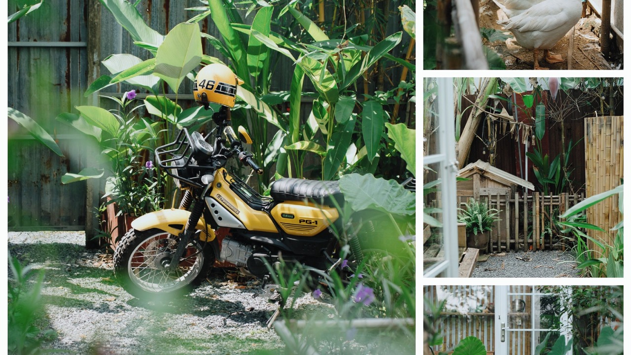 Photo of Outdoor in Ninh Kieu