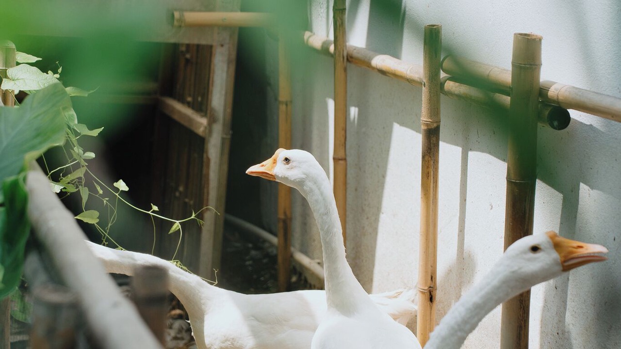 Photo of Others in Ninh Kieu