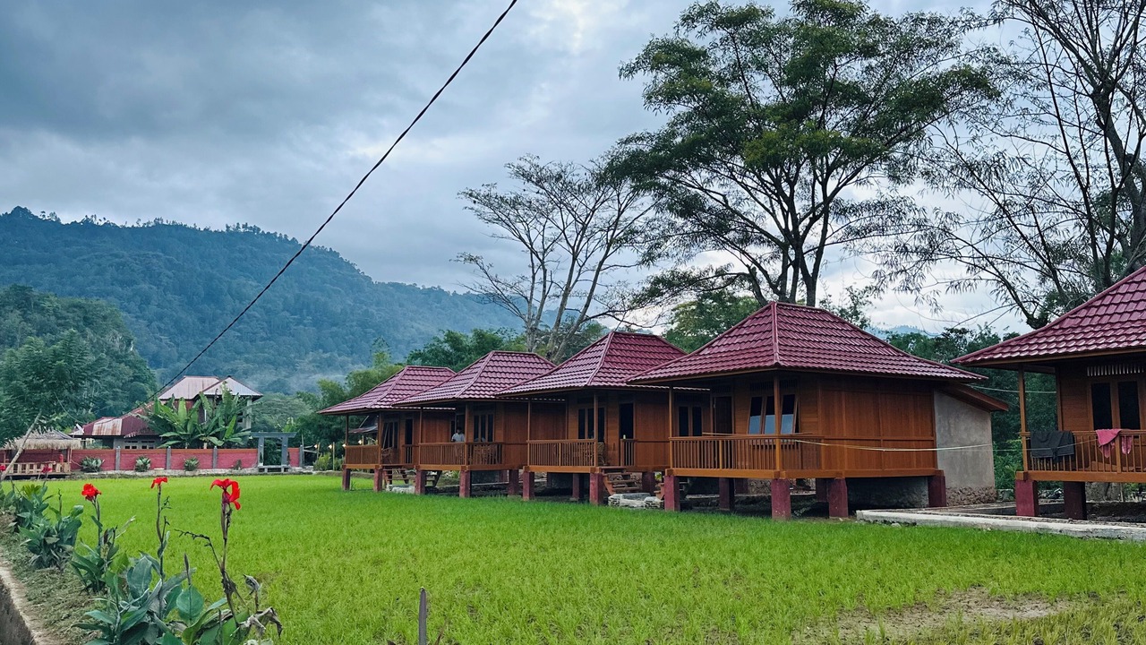 Photo of Outdoor in Rantepao