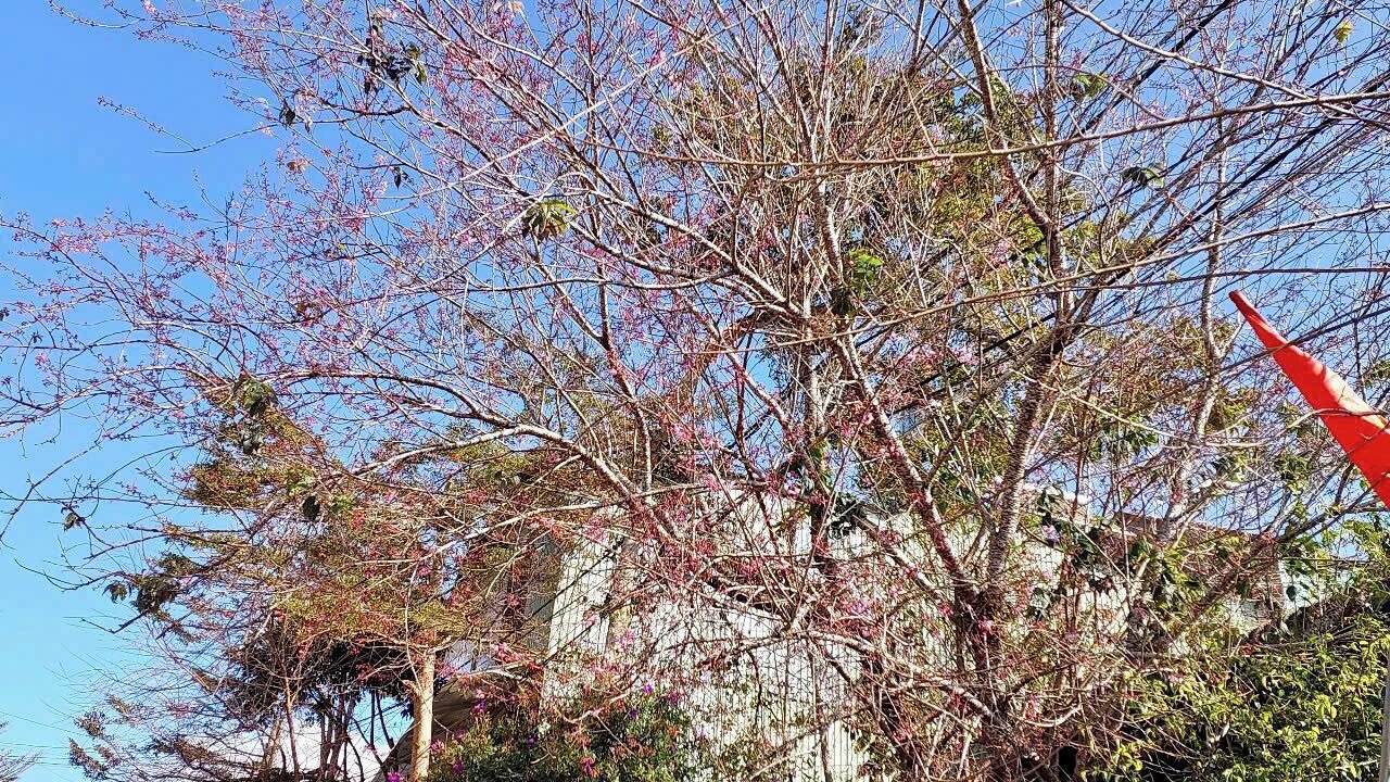 Photo of Outdoor in Kon Plong