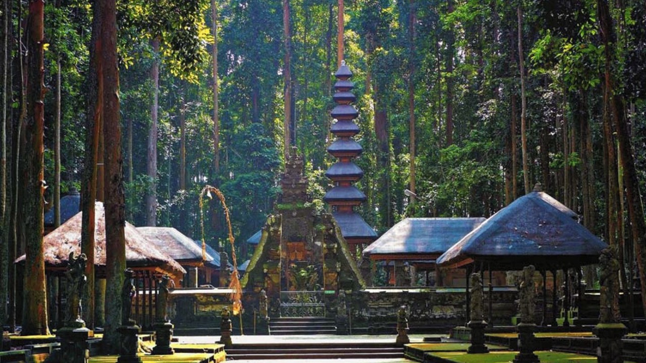Photo of Others in Ubud