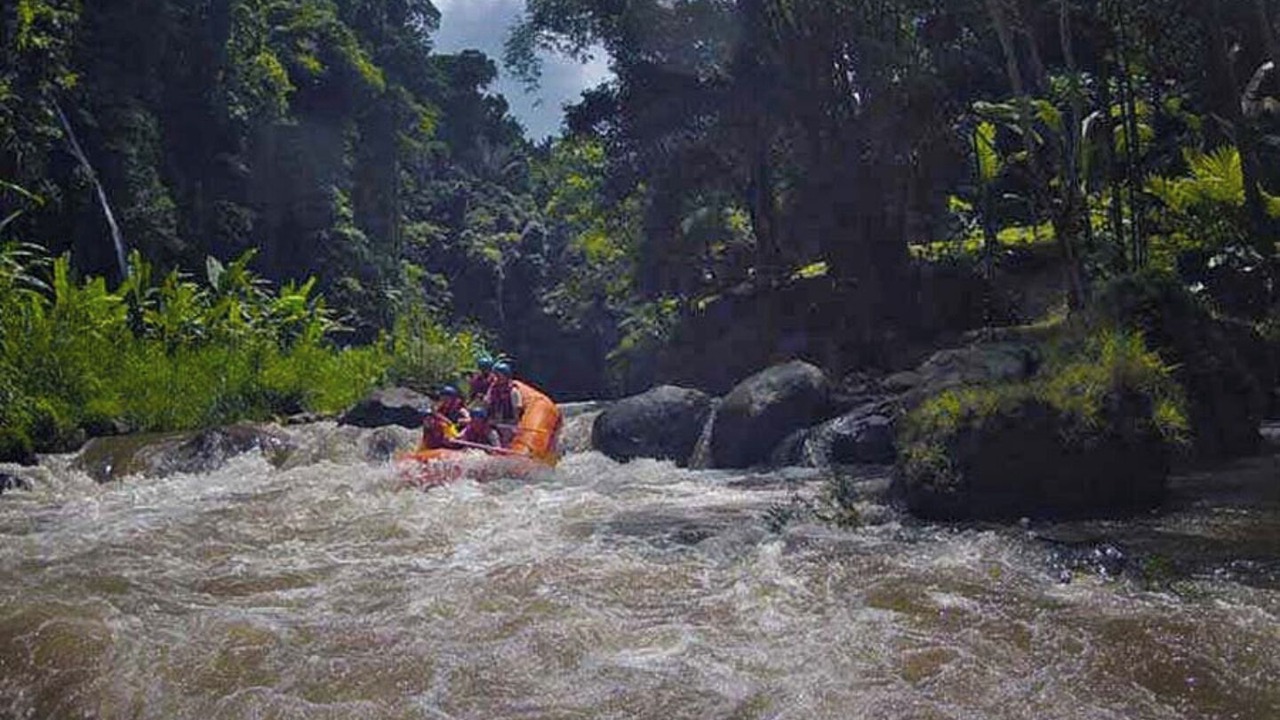 Photo of Others in Ubud