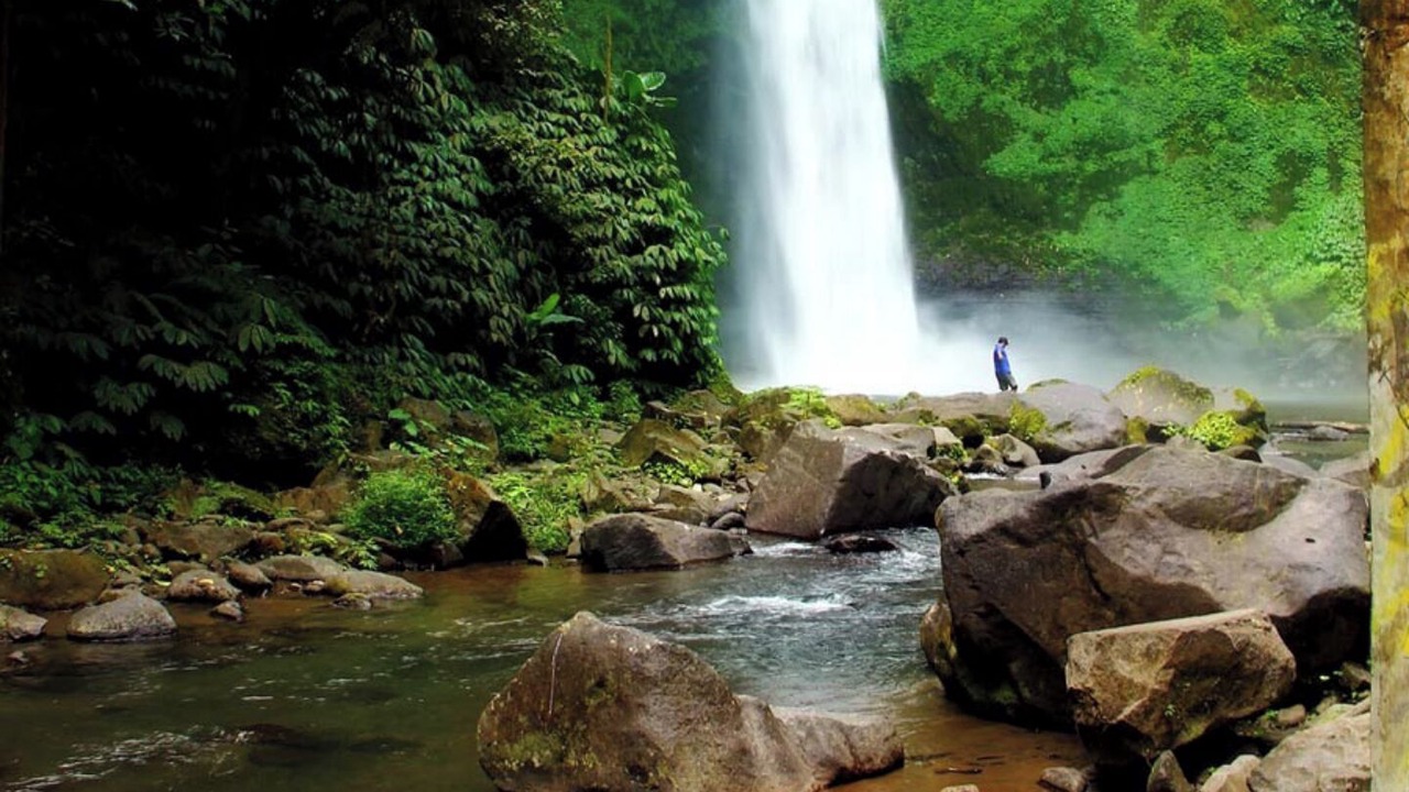 Photo of Others in Ubud