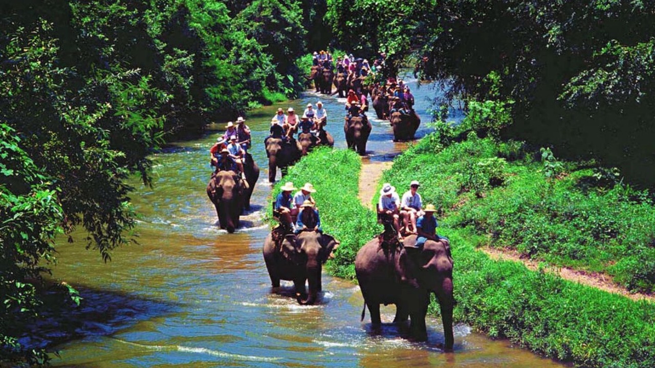 Photo of Others in Ubud