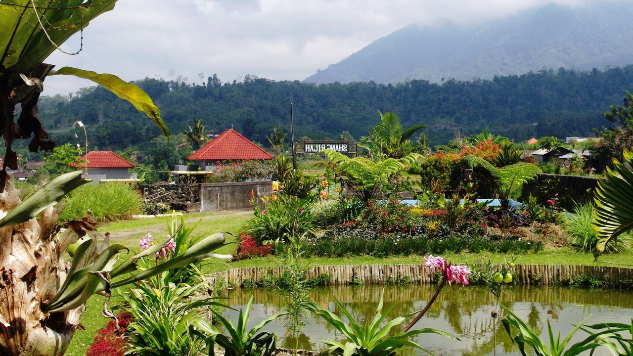 Photo of Outdoor in Baturiti