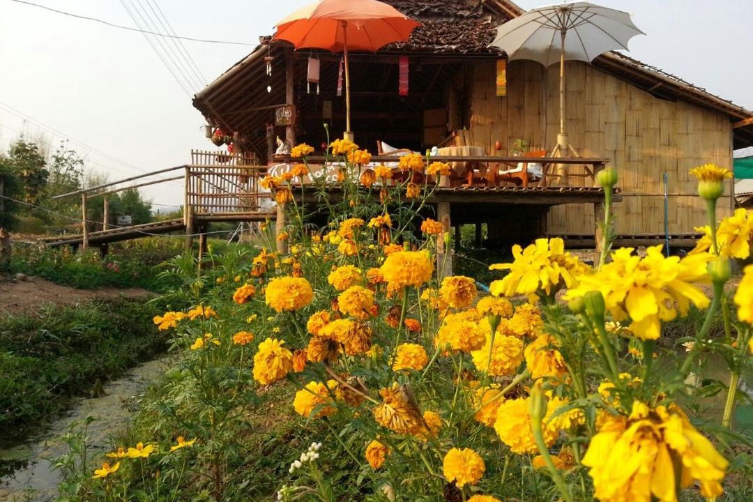 Photo of Others in Pai