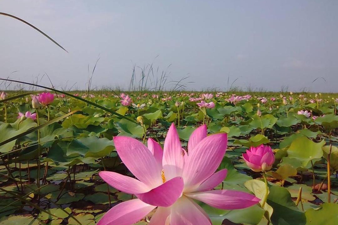 Photo of Others in Sam Roi Yot