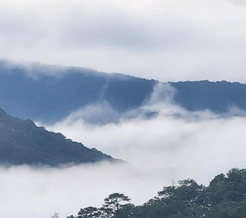 Photo of Others in Da Lat