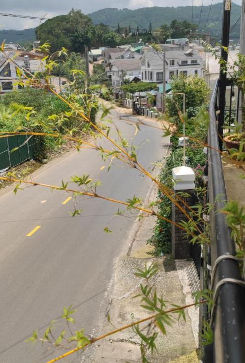 Photo of Others in Da Lat