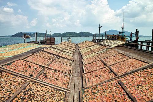 Photo of Others in Pangkor Island