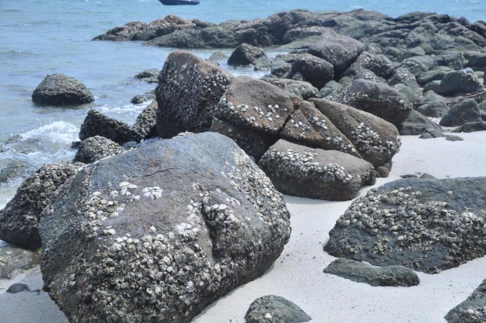 Photo of Others in Pangkor Island