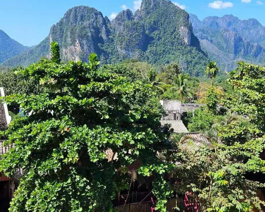 Photo of Others in Vang Vieng