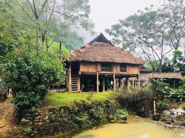 Photo of Others in Pu Long Nature Reserve