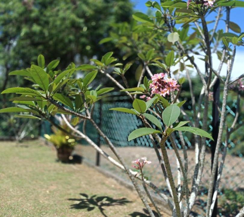 Photo of Others in Port Dickson