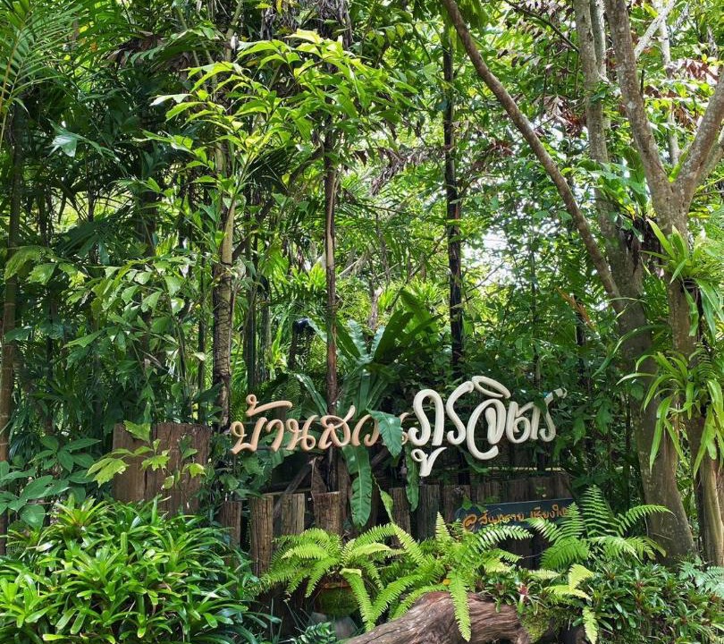 Photo of Others in Mae Faek Mai