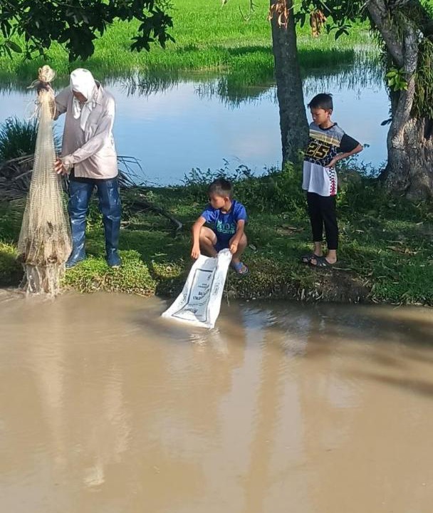 Photo of Others in Arau