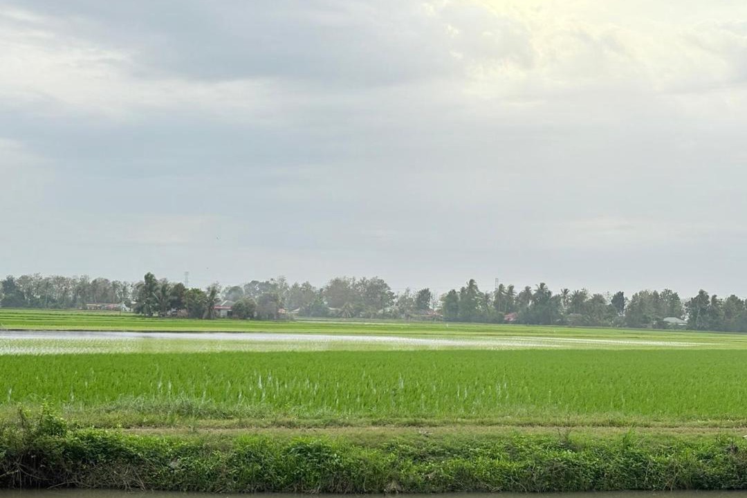 Photo of Others in Arau
