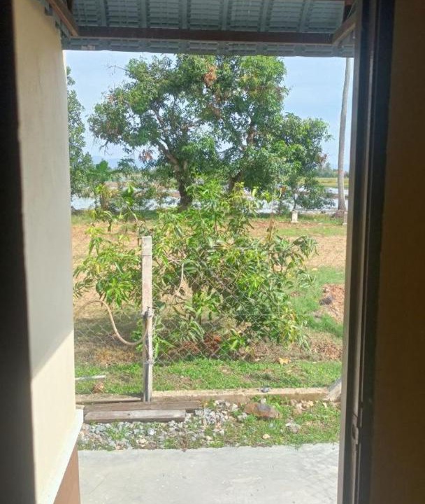 Photo of Others in Arau